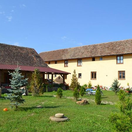 Ferienwohnung Casa Maria Cincu Exterior foto