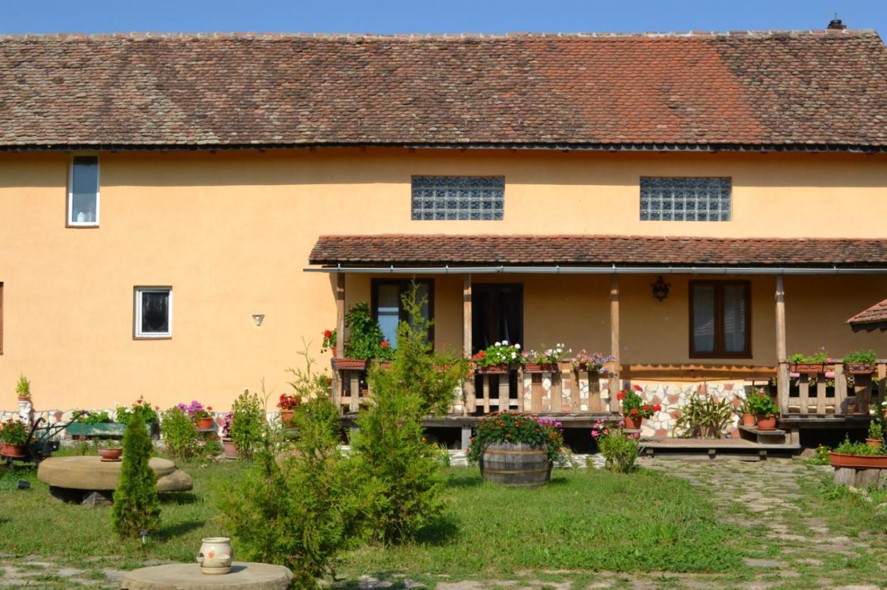 Ferienwohnung Casa Maria Cincu Exterior foto