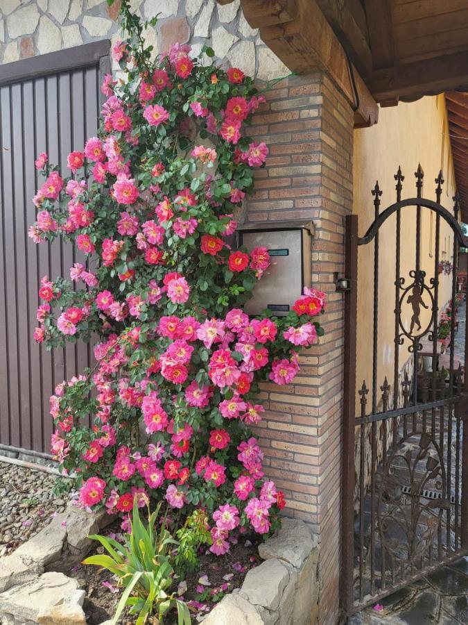 Ferienwohnung Casa Maria Cincu Exterior foto