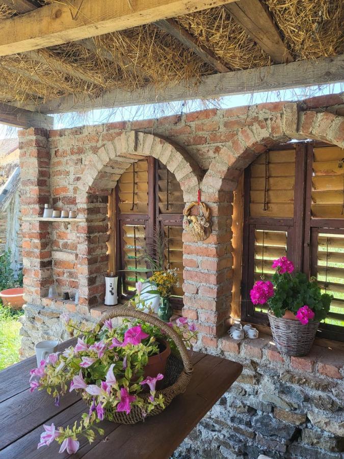 Ferienwohnung Casa Maria Cincu Exterior foto