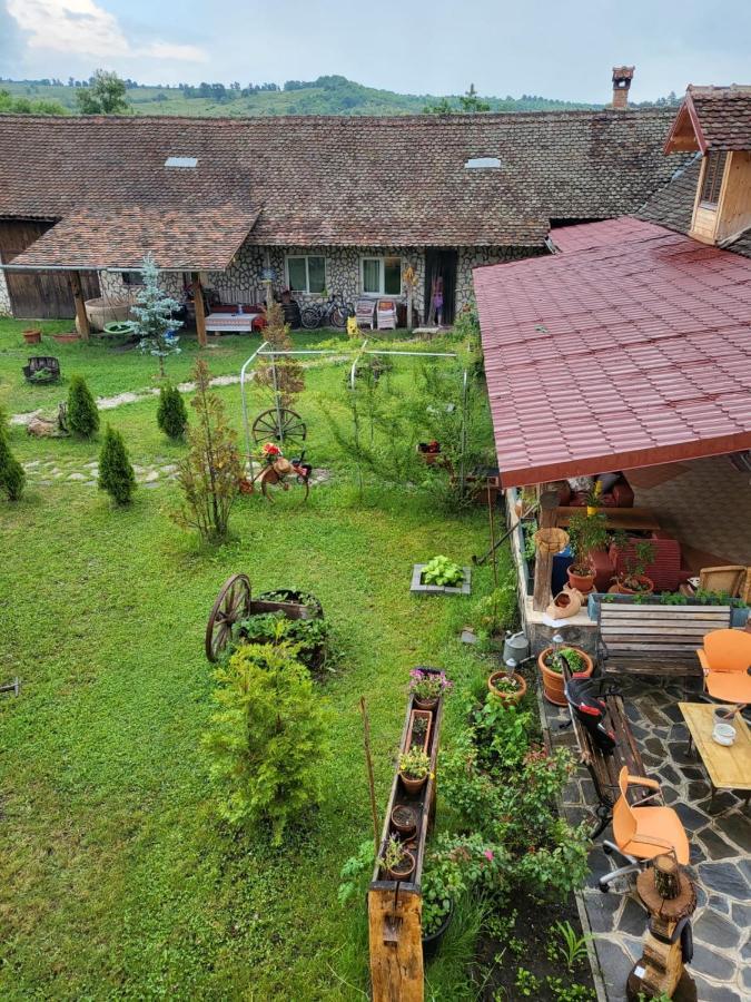 Ferienwohnung Casa Maria Cincu Exterior foto